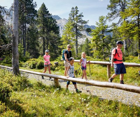 Familie wandert auf dem Sonnentauweg