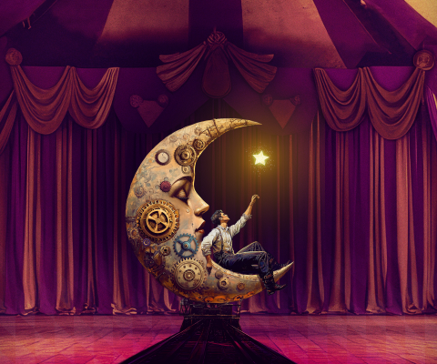 Circus Salto