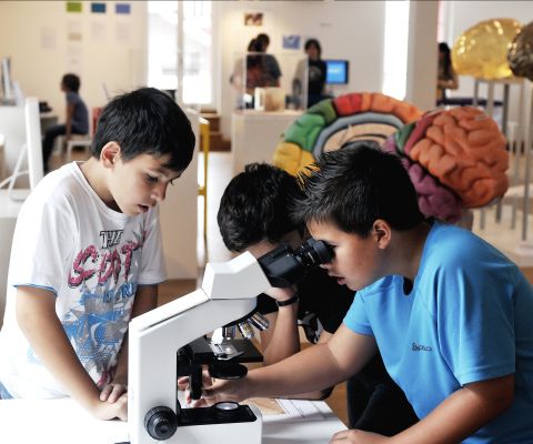 Kinder schauen durch ein Mikroskop