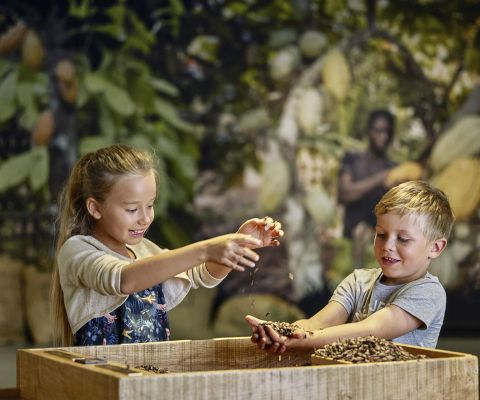 Zwei Kinder erforschen spielerisch Kakao-Bohnen