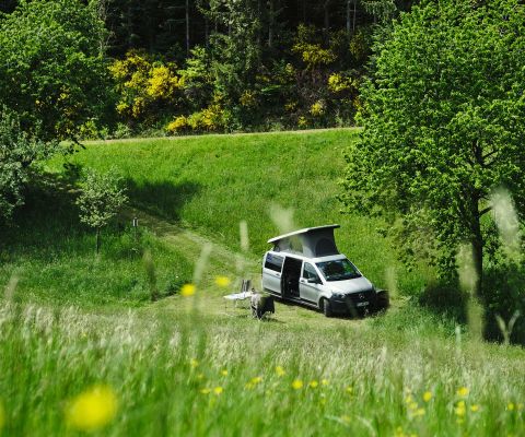 Camping im Grünen