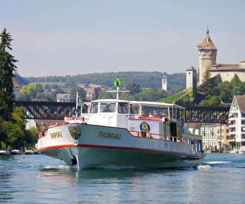 Ein Passagierschiff auf dem Hochrhein unter der Eisenbahnbrücke