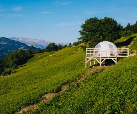 Bubble-Hotel auf grüner Wiese vor Berglandschaft