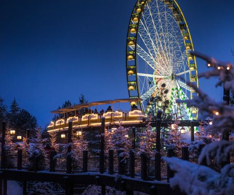 Nächtliche Stimmung im Europa Park mit beleuchtetem Riesenrad