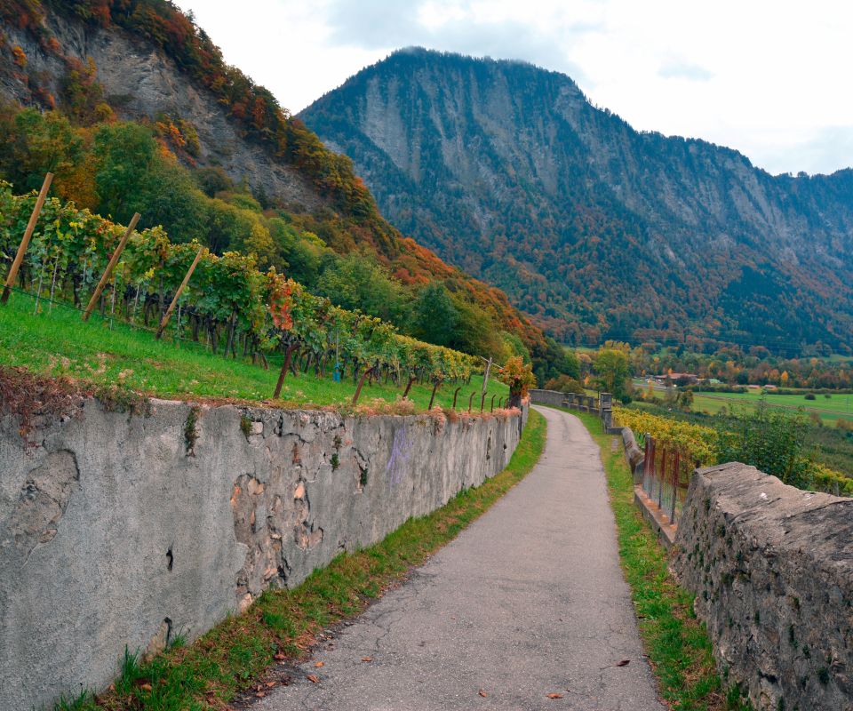 FamilienVelotour Churer Rheintal Famigros