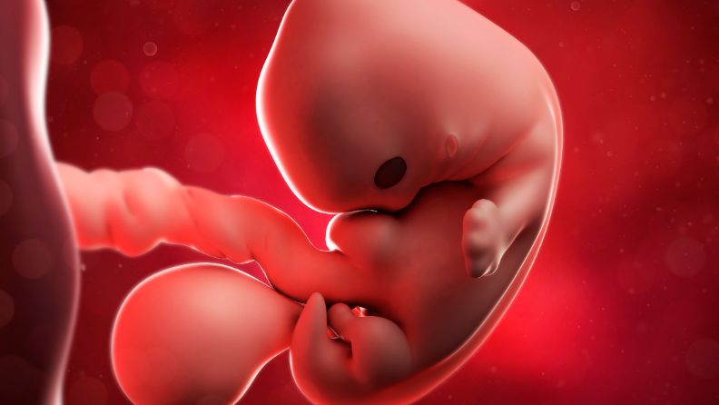 21 Settimana Di Gravidanza Famigros