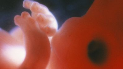 Calendario Della Gravidanza Famigros