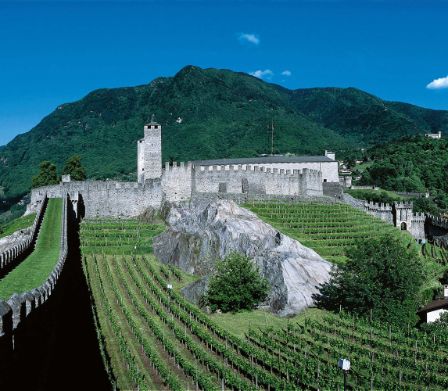 Châteaux de Bellinzone entourés de vignes et de montagnes verdoyantes