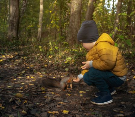 Un garçon donne à manger à un écureuil sur le sentier des écureuils de Bougy
