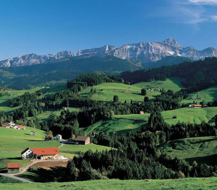 Paysage vallonné dans le pittoresque Appenzell