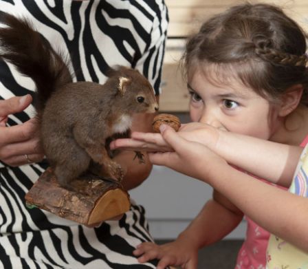 Un adulto che mostra uno scoiattolo a una bambina