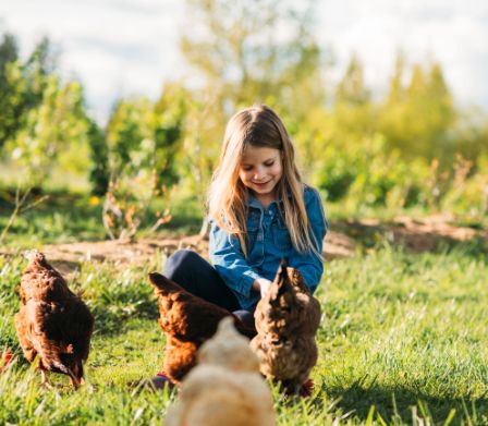 Bambina in campagna dà da mangiare alle galline