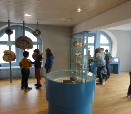 Sauriermuseum Frick: Auf den Spuren der Dinos