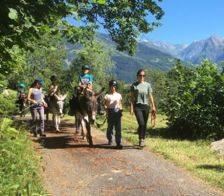 Kinder reiten auf geführten Eseln