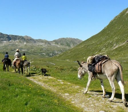 Ferme Somarelli: trekking avec des animaux dans le Val Blenio au Tessin 