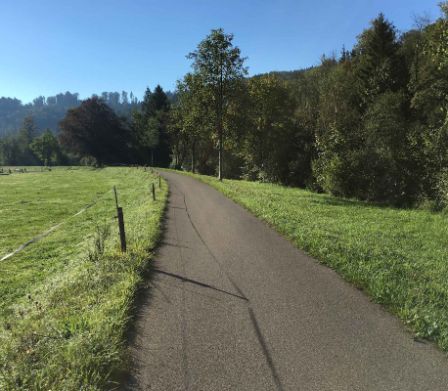 Ein geteerter Radweg zwischen grünen Wiesen und Wald im Hintergrund