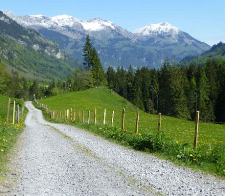 Rad- und Wanderweg durch grüne Wiesen und Berge im Hintergrund