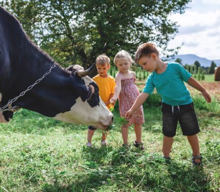 Drei Kindern füttern eine Kuh auf einer Wiese