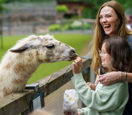 Mutter und Tochter füttern ein Alpaka im Tierpark
