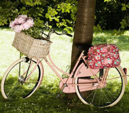 Bicicletta con cestino e borse sul portapacchi