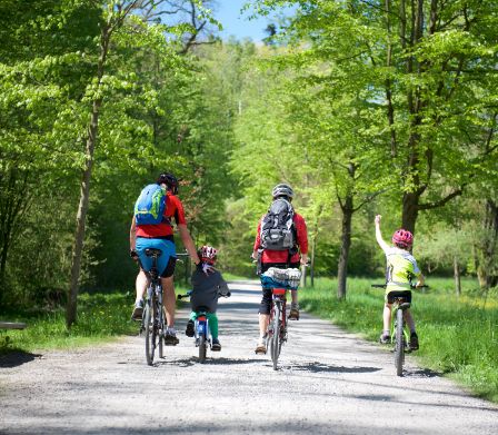 Familie fährt auf einem Radweg durch den Wald