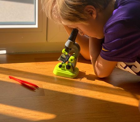 Un bambino intento ad osservare con "Il mio primo microscopio" Clementoni
