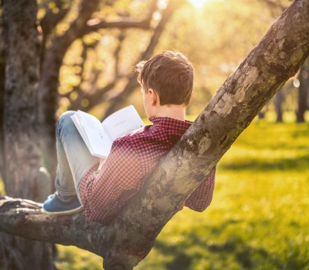 Un adolescente legge un libro per ragazzi su un albero