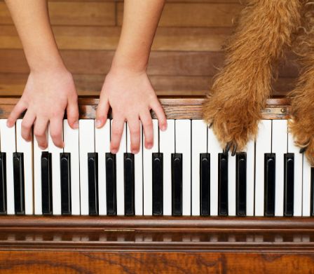 Mani di bambini e zampe di cane sui tasti di un pianoforte