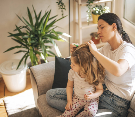 Tipps gegen Läuse Tipps gegen Läuse