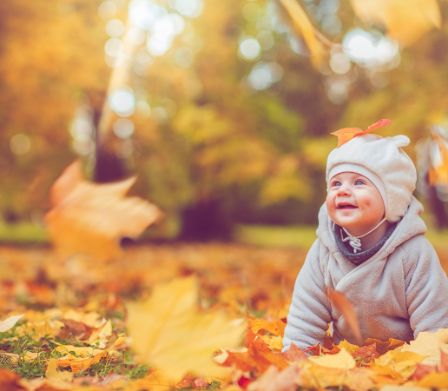 Bébé à quatre pattes découvrant avec fascination les feuilles d’automne.