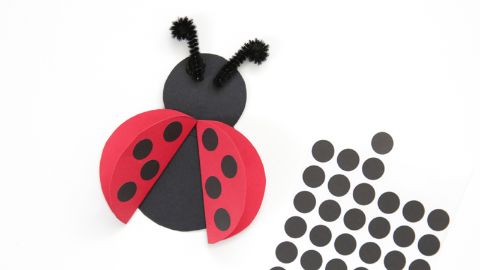  Papier Marienkäfer basteln 