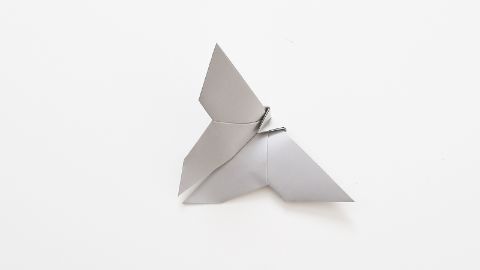 Origami Schmetterling Schritt 8