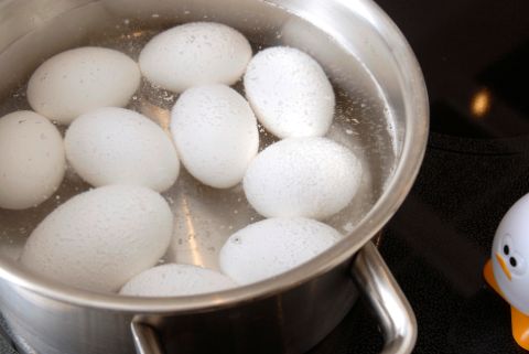 Œufs dans une casserole avec de l’eau
