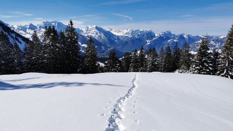Schneeschuhtouren St. Gallen