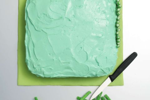 Der Kuchenrand wird zum Dschungelzaun Torte-4