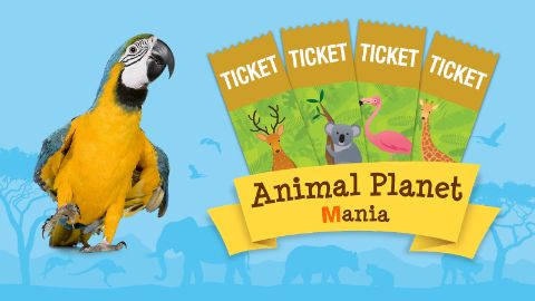 Animal Planet Mania Animal Planet Mania