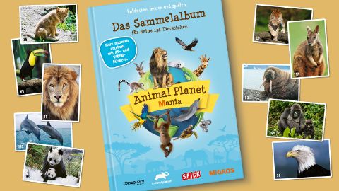 Animal Planet Mania Animal Planet Mania