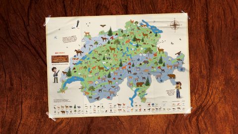 Poster "Nature Detectives Mania" Poster "Nature Detectives Mania"