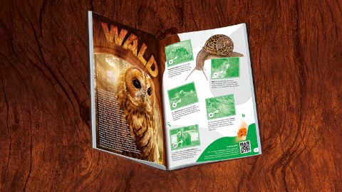 Blick in das Sammelalbum von "Nature Detectives Mania" Blick in das Sammelalbum von "Nature Detectives Mania"