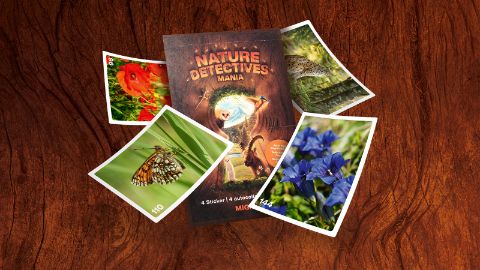 Die Sticker für das Sammelalbum "Nature Detectives Mania"