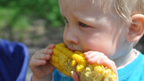 Bimbo che mangia una pannocchia di granoturco Bimbo che mangia una pannocchia di granoturco