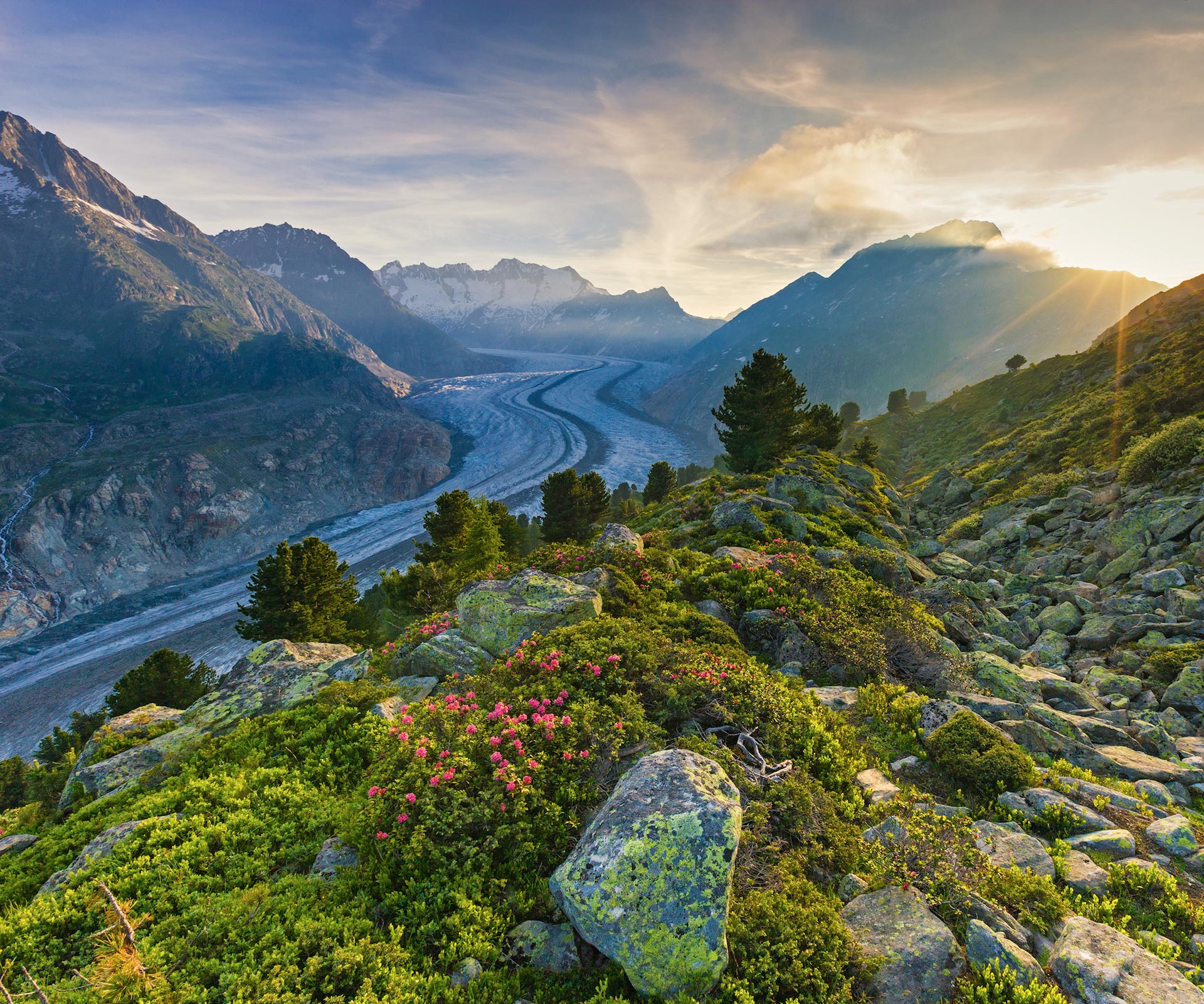 Aletschgletscher | Famigros