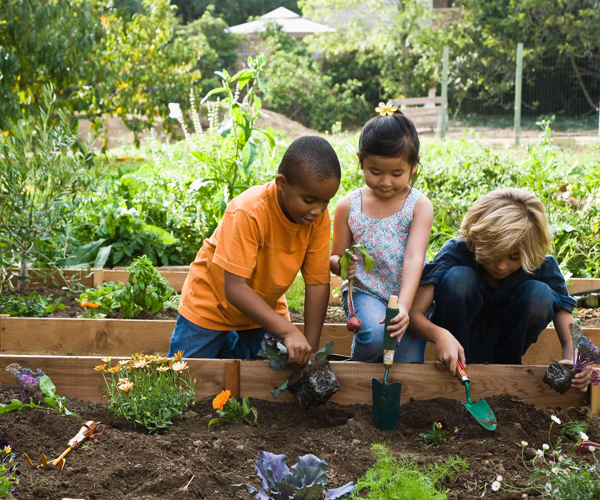 Giardinaggio con i bambini: consigli per ogni tipo di giardino